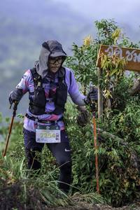 BIB: 2254
                            <button type="button" onclick="openModal(24766071)" class="btn btn-primary btn-sm float-right btn-popup" data-toggle="modal" data-target=".modal-high-quality">
                        <i class="fas fa-shopping-cart"></i> Add to Cart
                    </button>
                                            <button type="button" onclick="isThisMe(24766071, true)" class="btn btn-success btn-sm float-right btn-popup btn-isme hidden" data-toggle="tooltip" data-placement="bottom" title="นี่คือรูปของคุณใช่ไหม คลิกที่นี่เพื่อเอาเข้าอัลบั้ม">
                        <i class="fas fa-plus"></i> Add to album
                    </button>
                    <button type="button" onclick="isThisMe(24766071, false)" class="btn btn-warning btn-sm float-right btn-popup btn-isnotme hidden">
                        <i class="fas fa-ban"></i> Remove from album
                    </button>